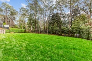 A backyard with lush green grass, a black metal fence, and tall trees in the background under a partly cloudy sky.
