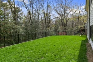 A backyard featuring a lush, green lawn with a black metal fence at the edge, surrounded by tall trees with sprouting leaves under a blue sky with few clouds.